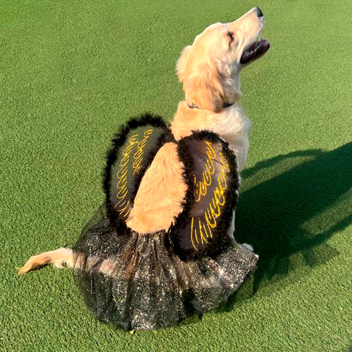 Miniatura 5 de Disfraz Mascota Angel Negro OF-1487PET